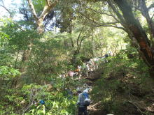 “自然を愛する”エコなブログ-屋久島縦走