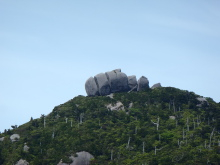 “自然を愛する”エコなブログ-屋久島縦走