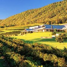 H.I.S.シドニー支店～みなと街ブログ～