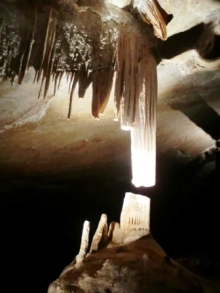 H.I.S.シドニー支店～みなと街ブログ～