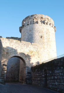 H.I.S.イタリア支店　♪カプチーノ天国♪-Matilde di Canossa Tower