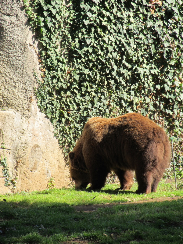 イタリア観光ブログ ローマの動物園行きましょう