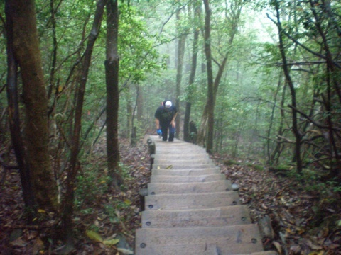photo:02
