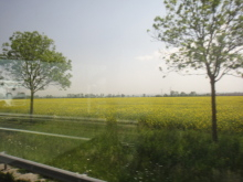 impresso BLOG