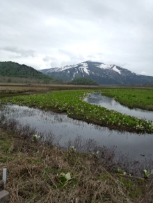 “自然を愛する”エコなブログ