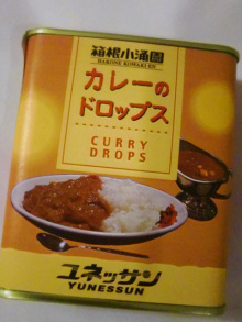 H.I.S.デリー支店(インド)