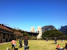 H.I.S.シドニー支店～みなと街ブログ～