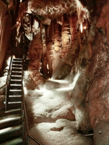 H.I.S.シドニー支店～みなと街ブログ～