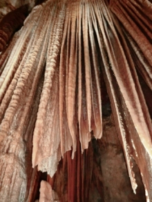 H.I.S.シドニー支店～みなと街ブログ～