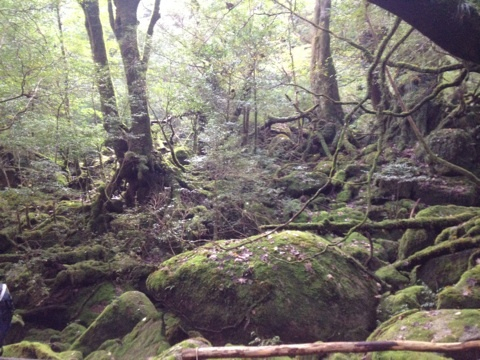 photo:04