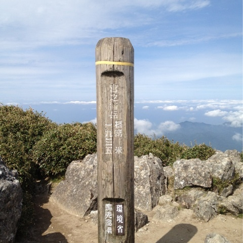 photo:01