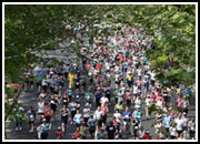 H.I.S.シドニー支店～みなと街ブログ～