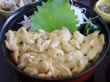 遊ＶＩＶＡ 北海道-うに丼