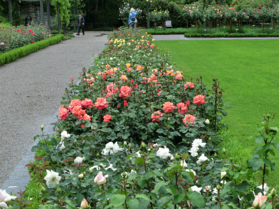 バラ公園