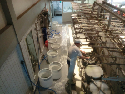 製造工程見学