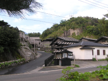 “自然を愛する”エコなブログ