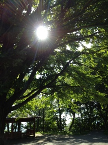 遊ＶＩＶＡ 北海道