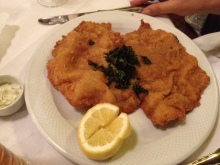 H.I.S.ウィーン支店　～ Wien～