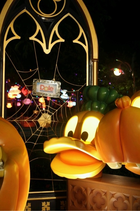 photo:11