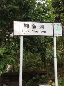 H.I.S香港支店の日記