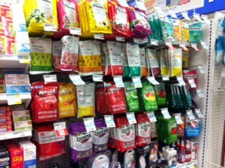 H.I.S.トロント支店  ♪メープルライフ♪