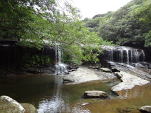 沖縄 美ら海ブログ