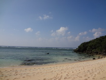 沖縄 美ら海ブログ