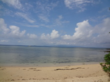 沖縄 美ら海ブログ