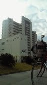 沖縄 美ら海ブログ