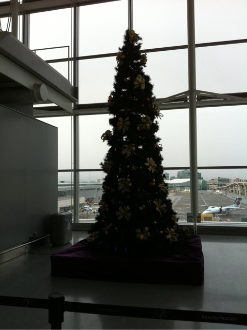 photo:06