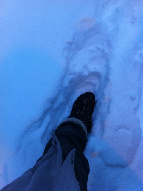 photo:01