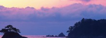 エコ・ボランティアツアーブログ