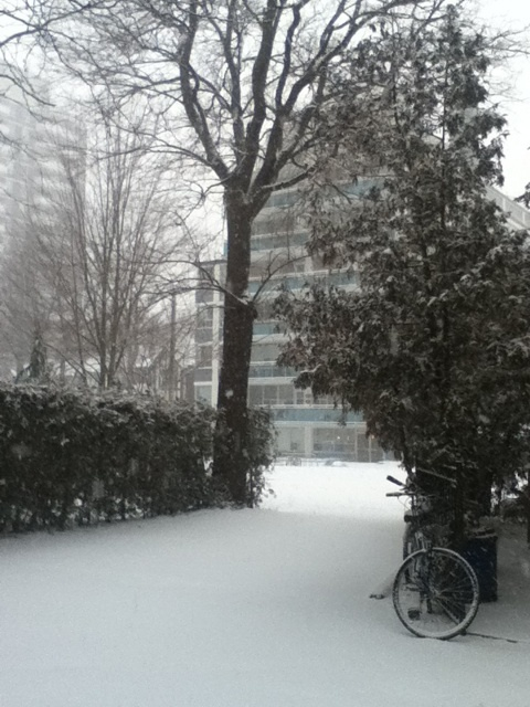 photo:06