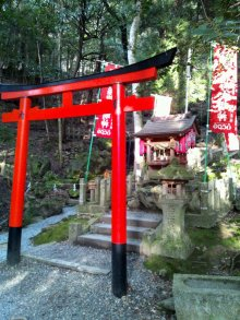 新家剛のブログ