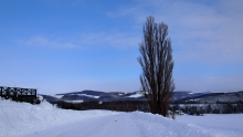 $遊VIVA 北海道