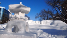$遊VIVA 北海道