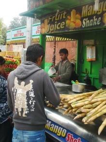 H.I.S.デリー支店（インド）