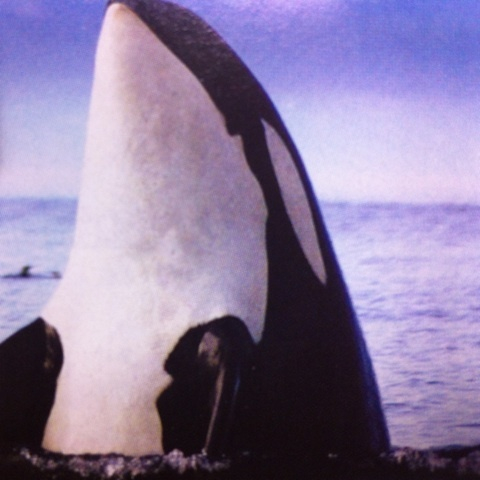 photo:04
