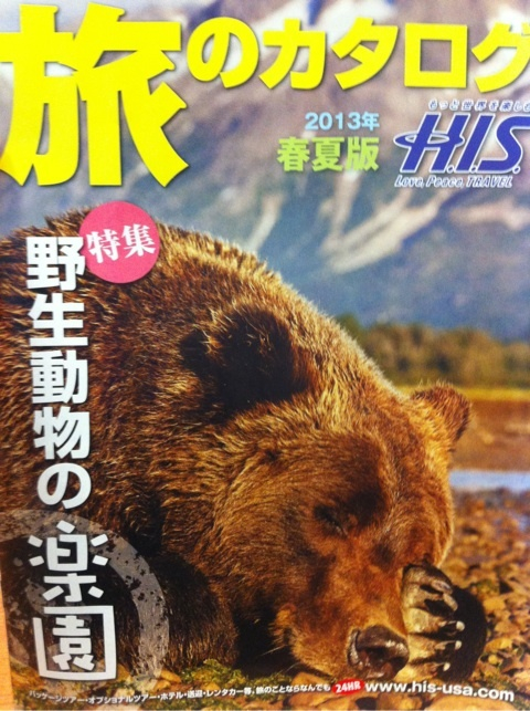 photo:01