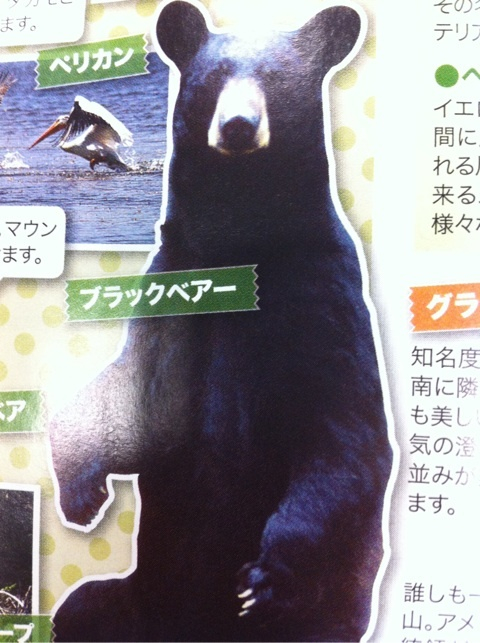 photo:02