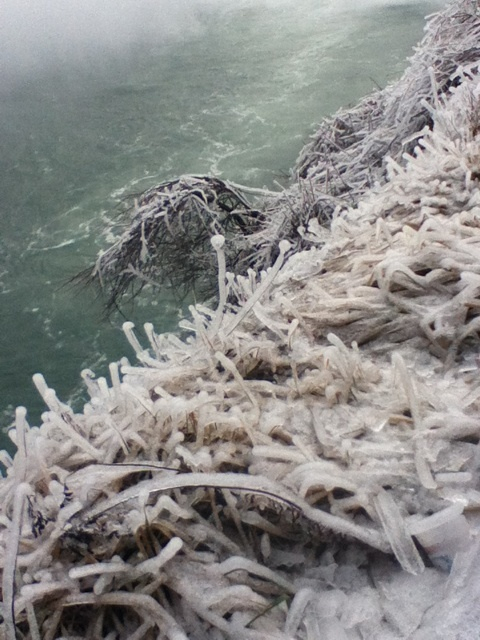 photo:05