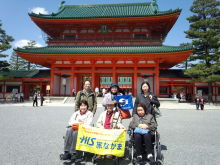 京都　桜　車椅子