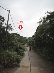 H.I.S香港支店の日記