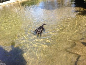 H.I.S.ロンドン雑学講座-Bourton-on-the-Water