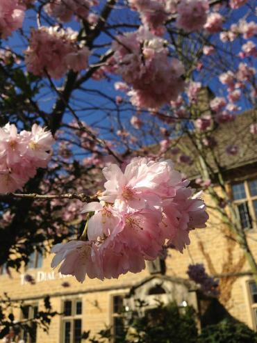 H.I.S.ロンドン雑学講座-Bourton-on-the-Water