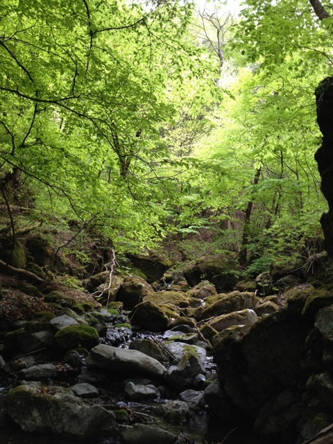 photo:01