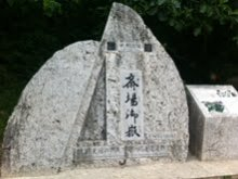 沖縄 美ら海ブログ