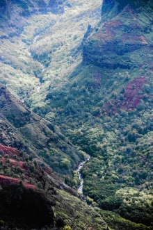 $山下マヌーの　マヌー式地球の遊び方