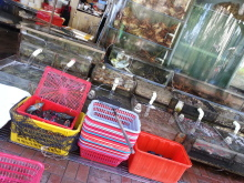 H.I.S香港支店の日記