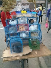 H.I.S.上海支店